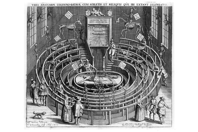 Obrazek ilustrujący tekst Theatrum anatomicum – ciało jako widowisko