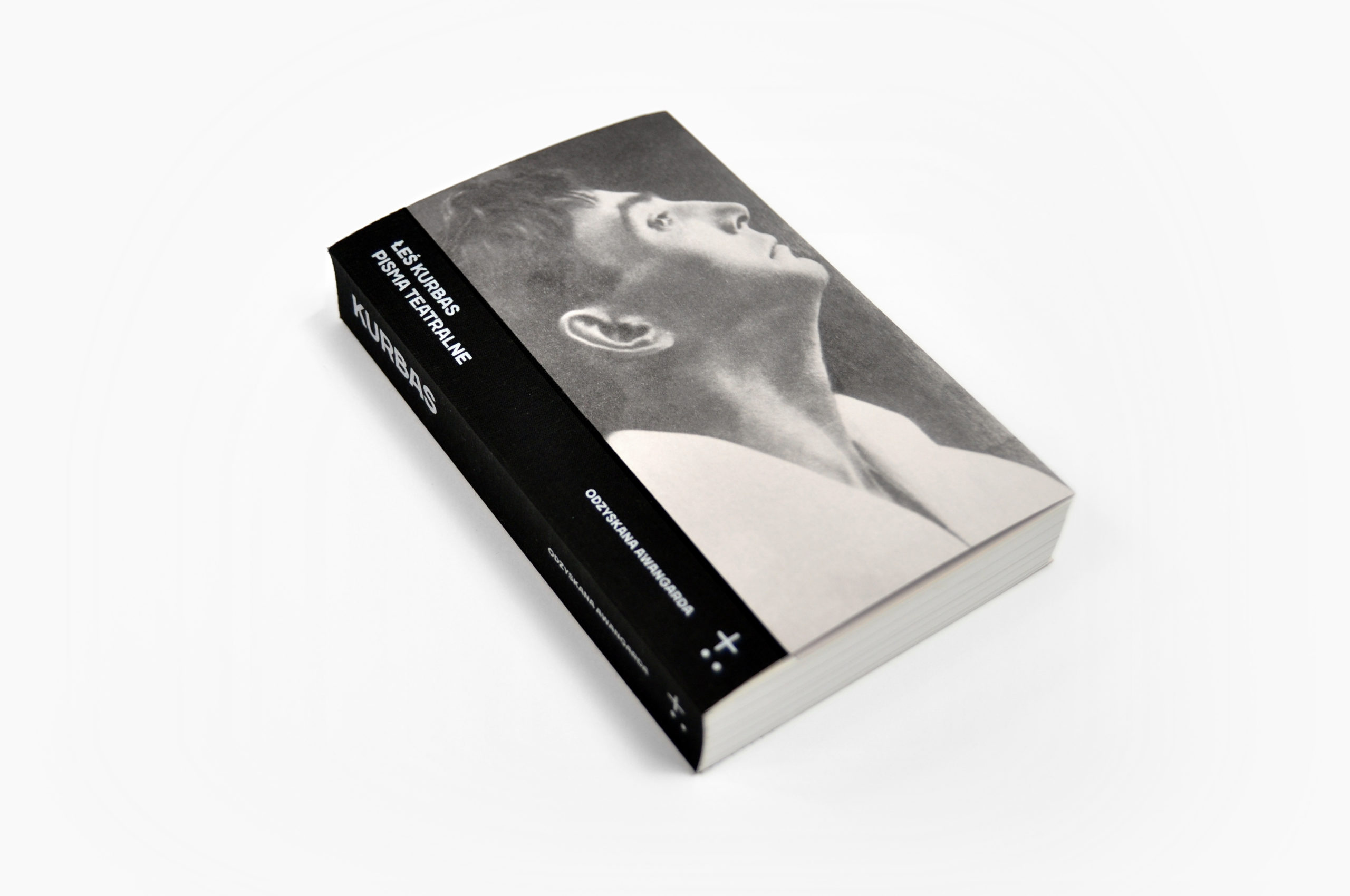 Obrazek ilustrujący tekst Portret reformatora