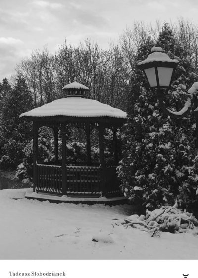 Zgubna fascynacja Stalinem