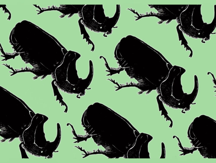 „Berlin żywi się różnicami kulturowymi”