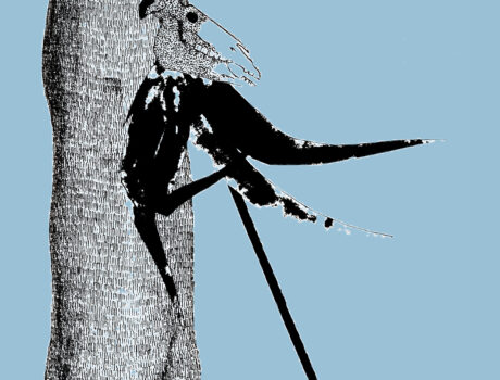 Przemilczeć wypowiedziane